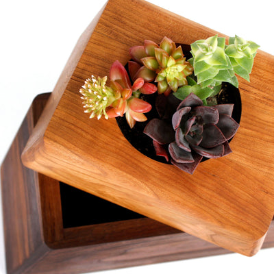 The Living Urn Planter - Simple Pets