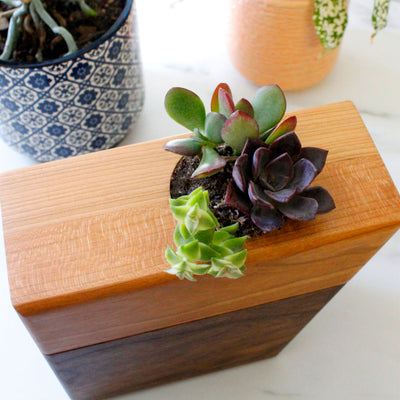 The Living Urn Planter - Simple Pets